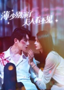 薄少别演了夫人看不见海报