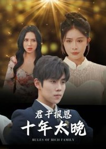 君子报恩十年太晚海报