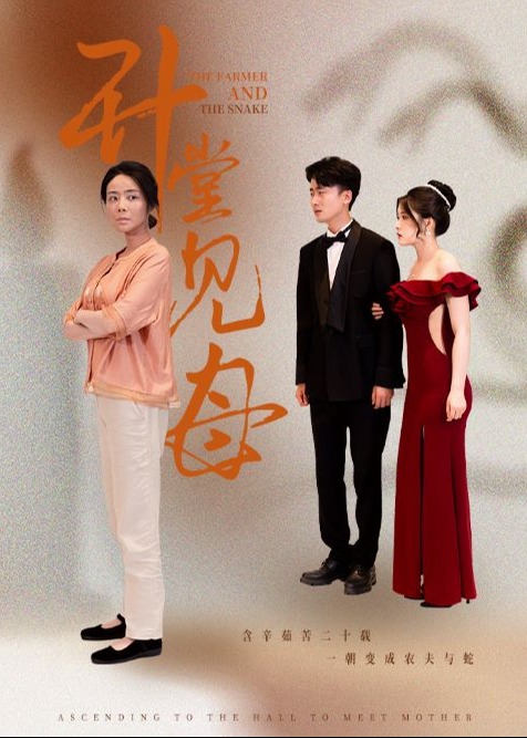 升堂见母海报
