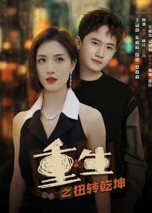 重生之扭转乾坤海报