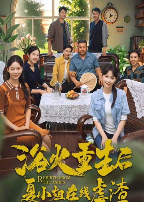 浴火重生后夏小姐在线虐渣海报