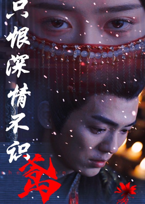 只恨深情不识鸢海报
