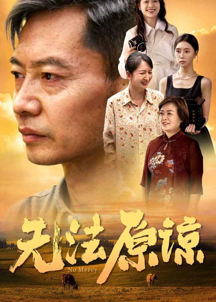 无法原谅。海报