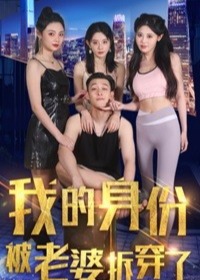 我的身份被老婆拆穿了海报