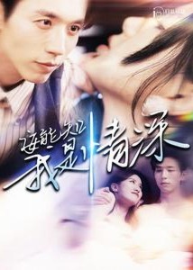安能知我是情深海报