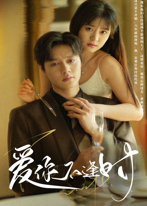 爱你不逢时海报