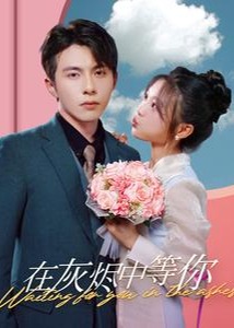 在灰烬中等你海报