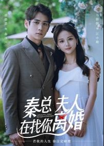 秦总，夫人在找你离婚海报