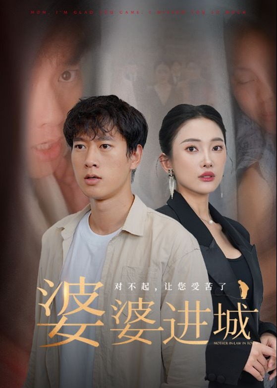 婆婆进城海报