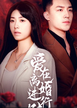 爱在离婚进行时海报