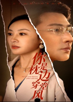 你是枕边穿堂风海报