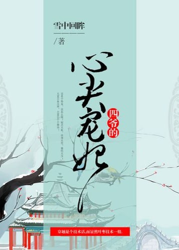 四爷的心尖宠妃海报
