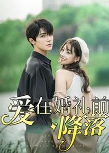爱在婚礼前降落海报