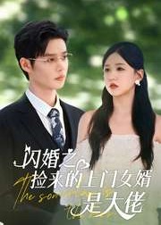 闪婚之捡来的上门女婿是大佬海报