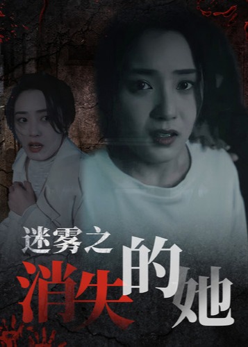 迷雾之消失的她海报