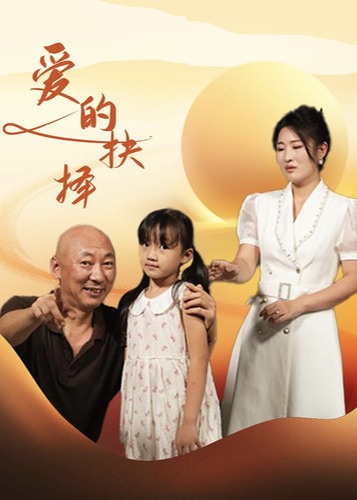 爱的抉择海报
