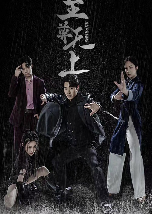 至尊无上海报