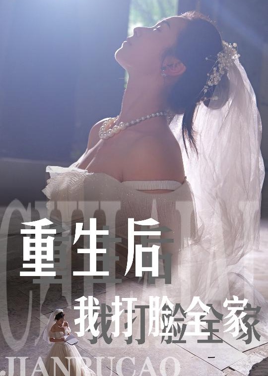 重生后我打脸全家海报