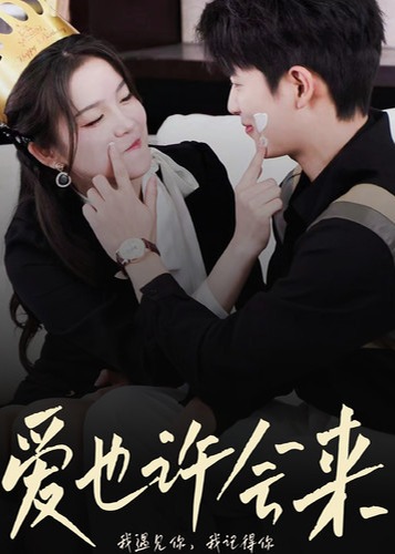 爱也许会来海报