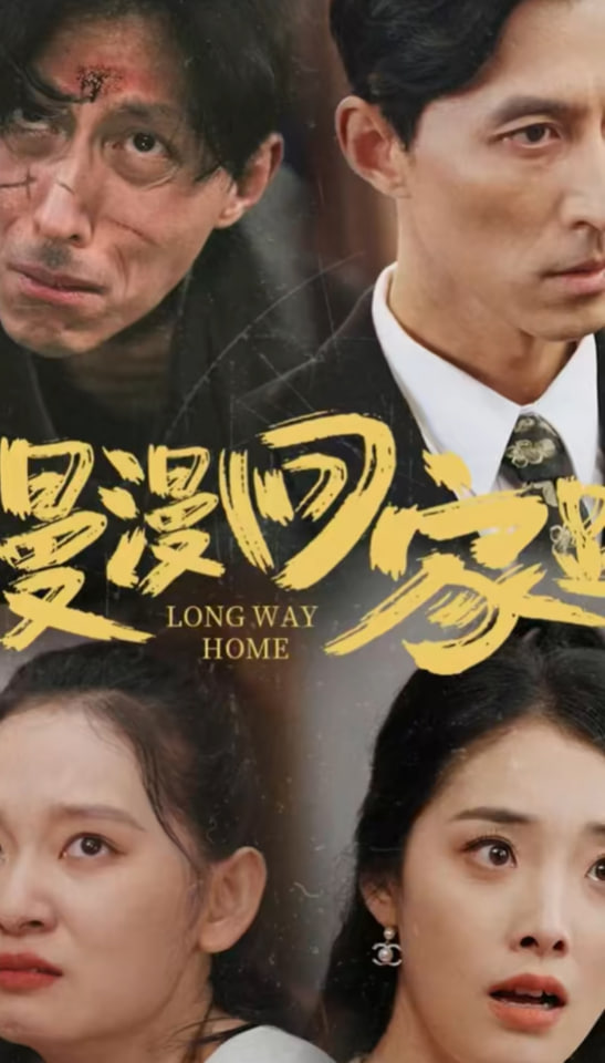 漫漫回家路海报