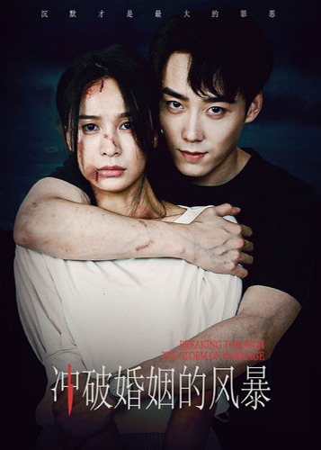 冲破婚姻的风暴海报