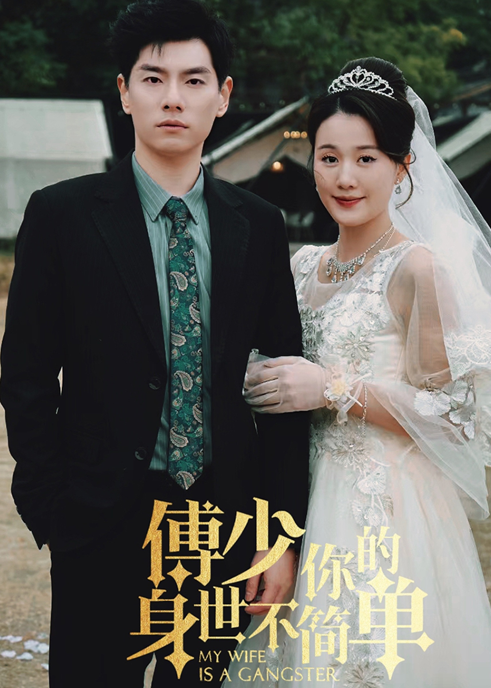 傅少你的身世不简单海报