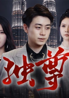 独尊海报