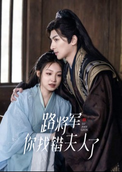 路将军，你找错夫人了海报