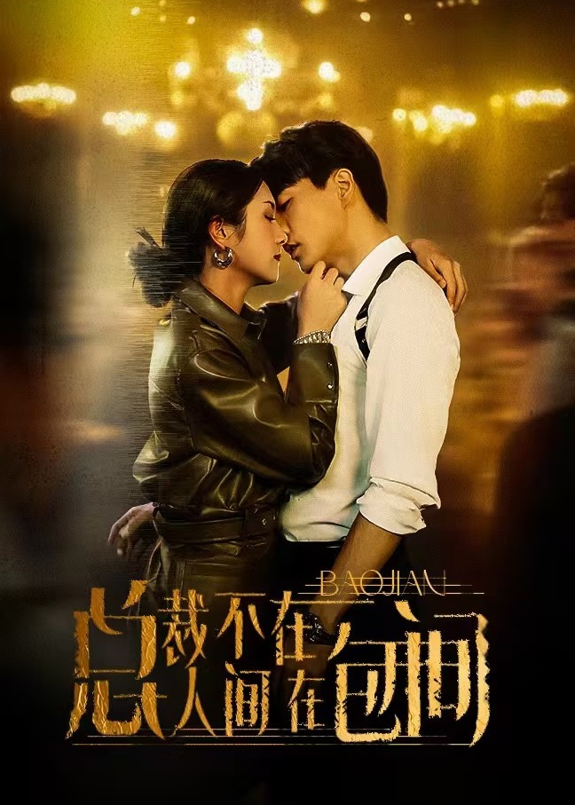总裁不在人间在包间海报
