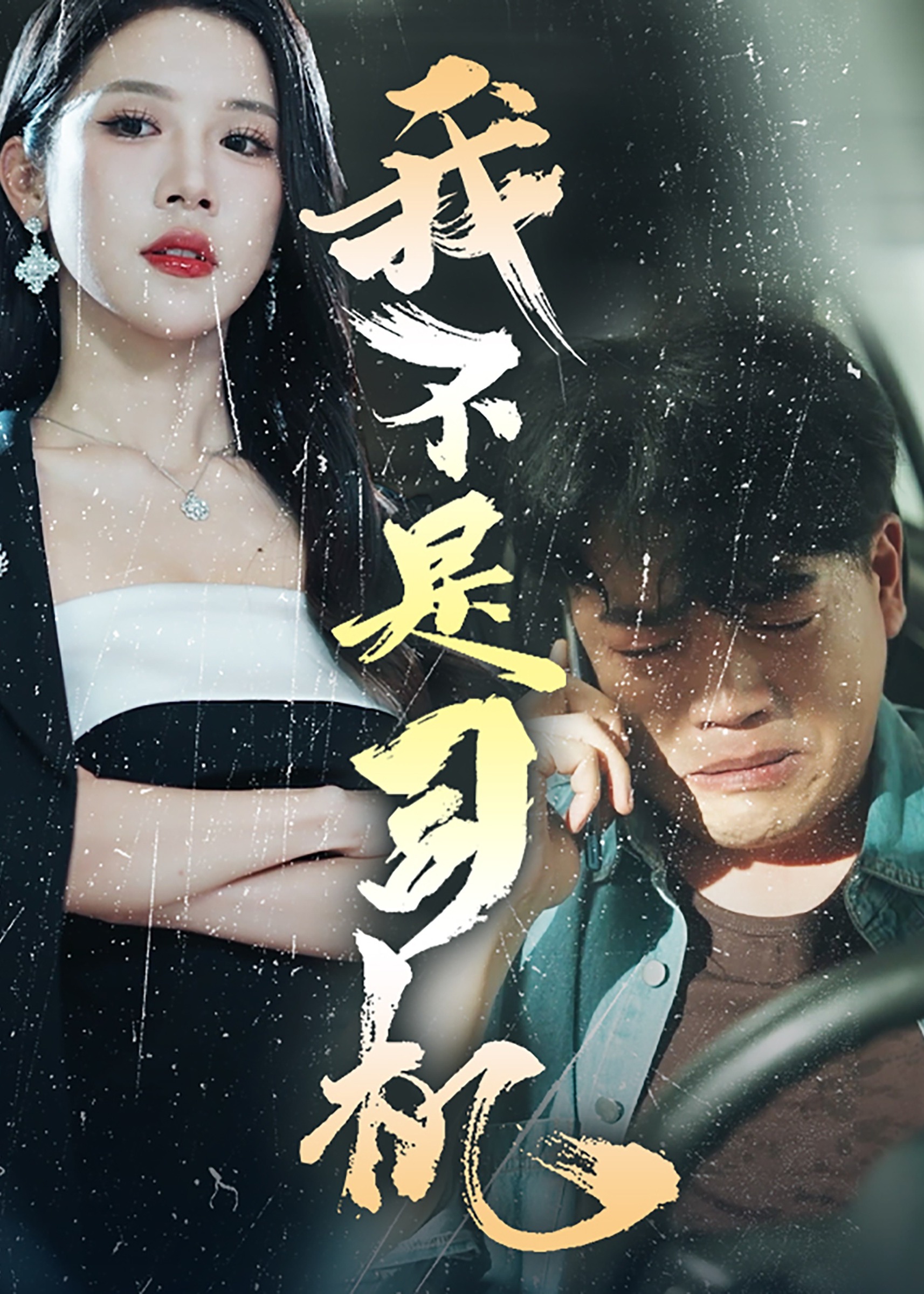 我不是司机海报