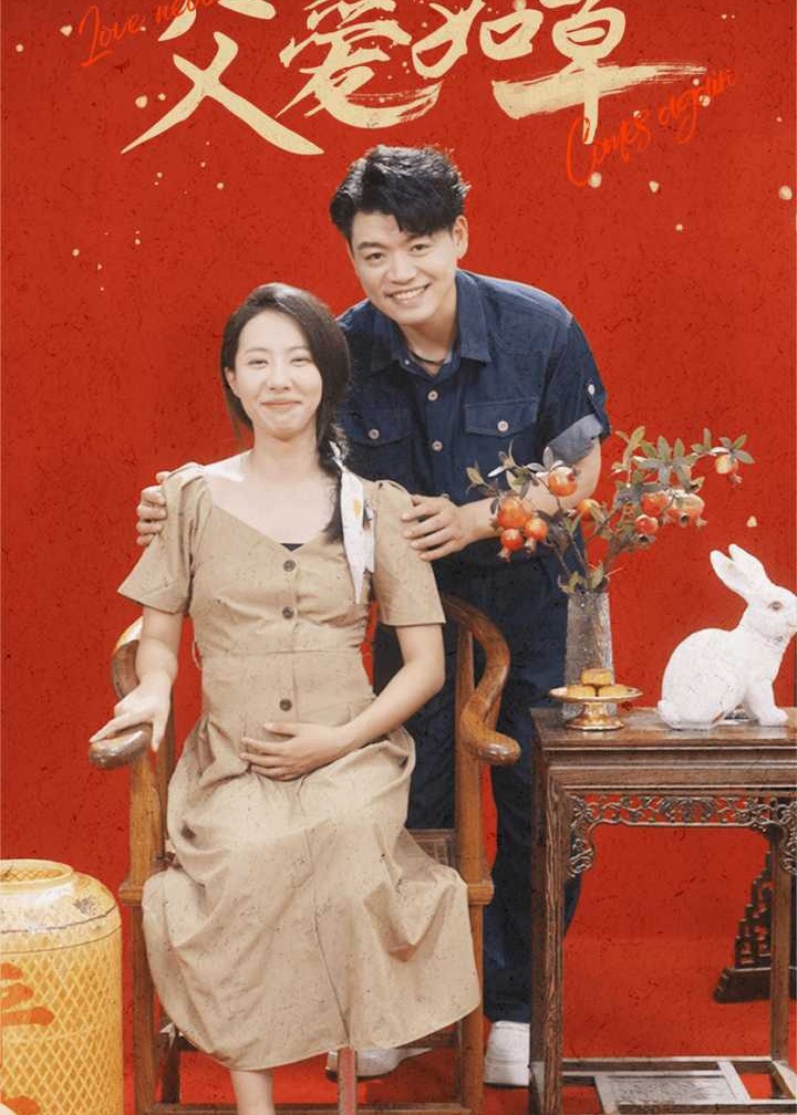 父爱如草海报