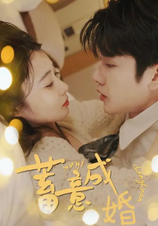 蓄意成婚海报