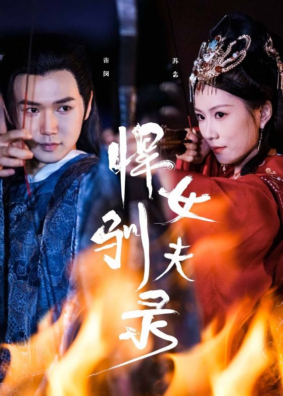 悍女驯夫录海报