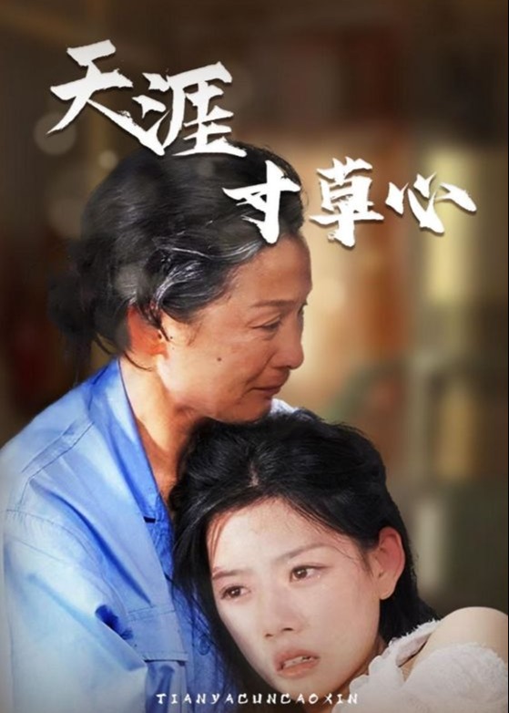 天涯寸草心海报