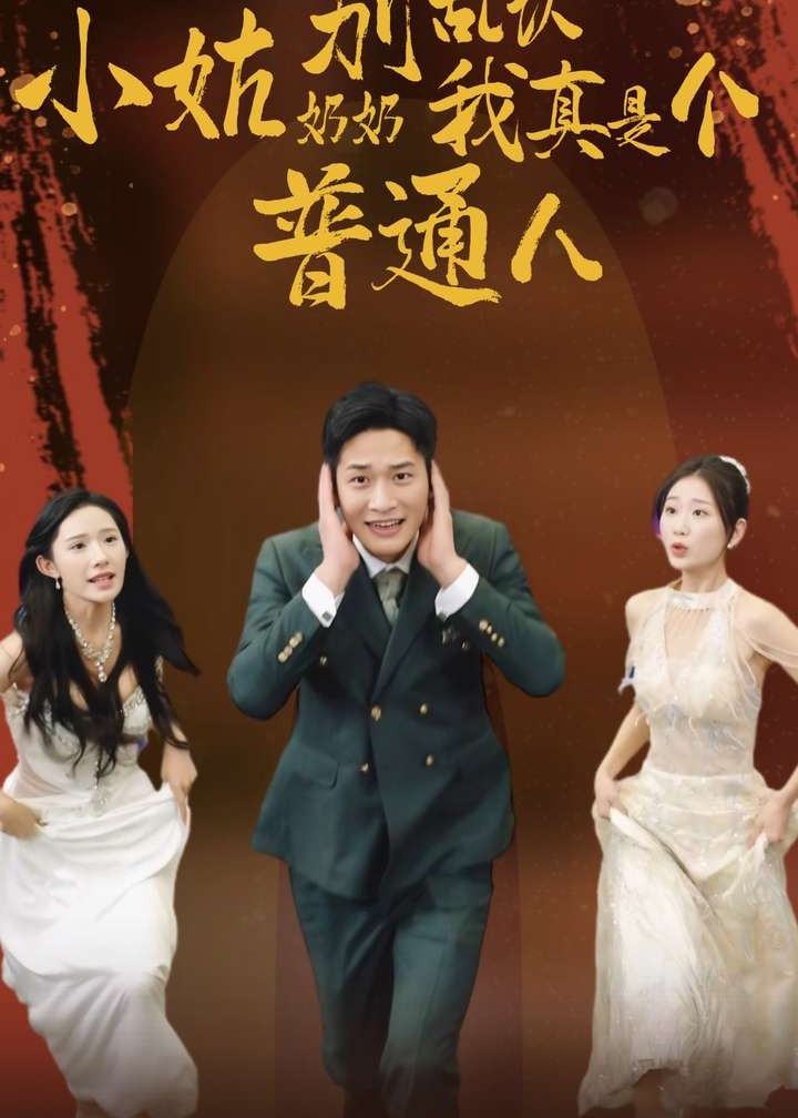 小姑奶奶别乱认我真是个普通人海报