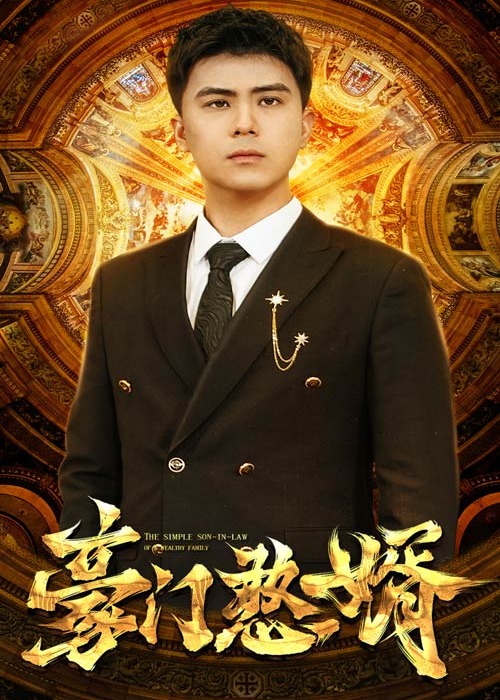 豪门憨婿海报