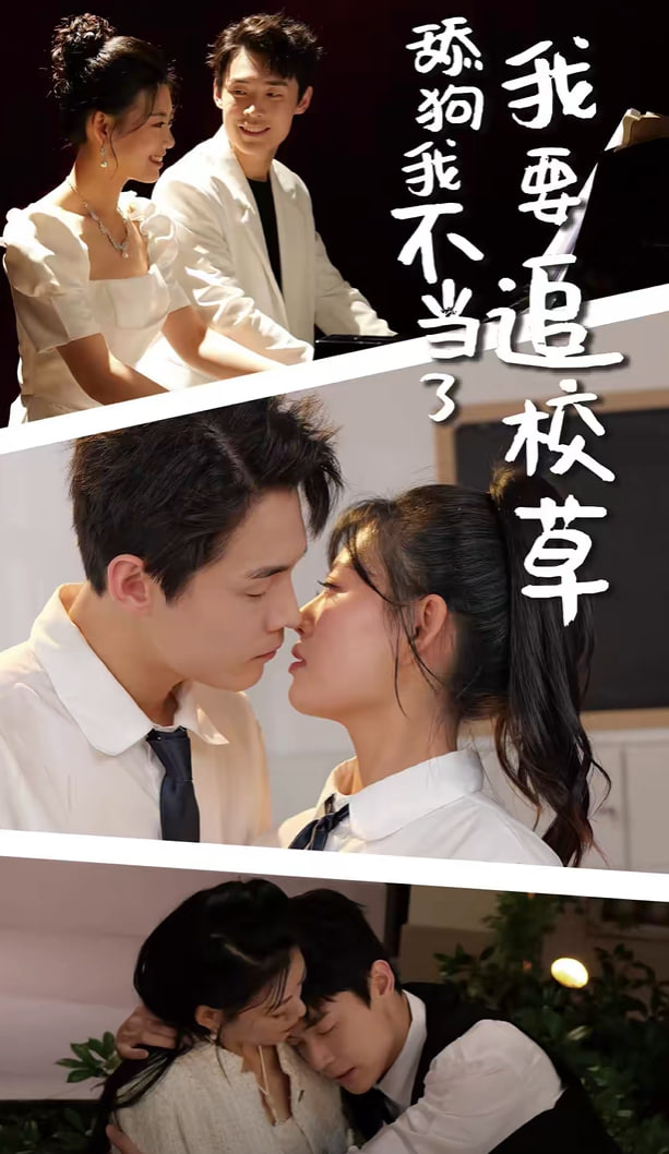 舔狗我不当了我要追校草海报