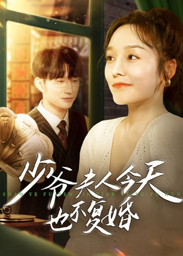 少爷夫人今天也不复婚海报