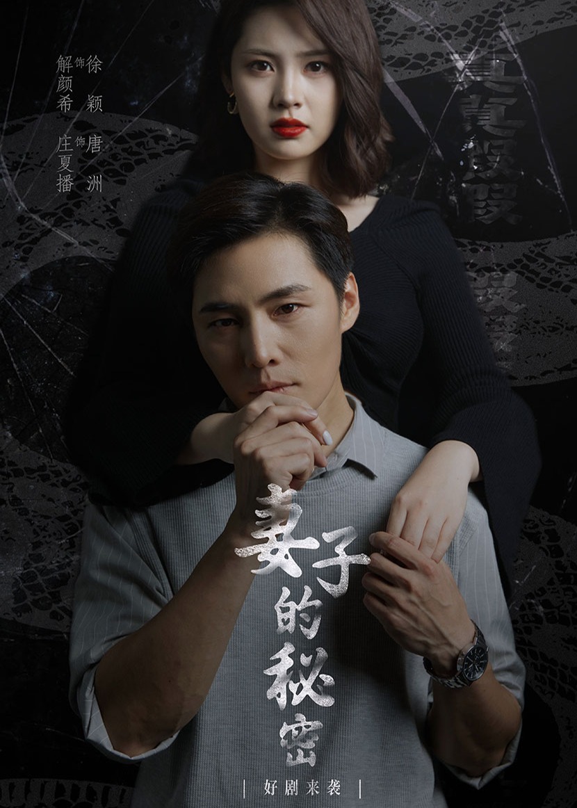 妻子不能说的秘密海报