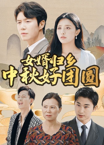 女婿归乡中秋好团圆海报