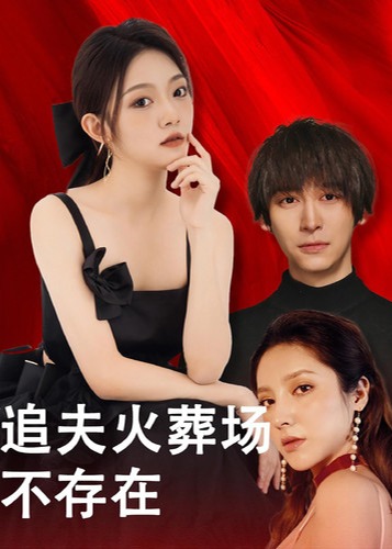 追夫火葬场不存在海报
