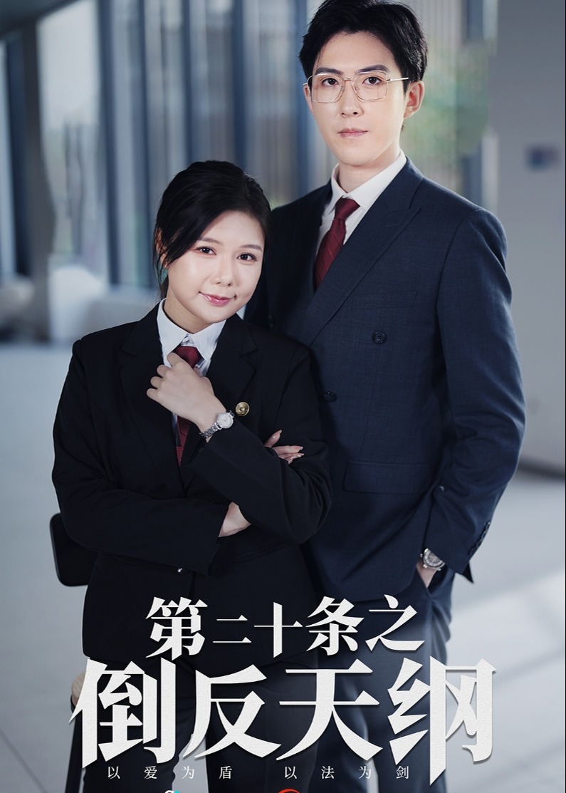 第二十条之倒反天纲海报