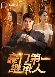 豪门第一继承人海报