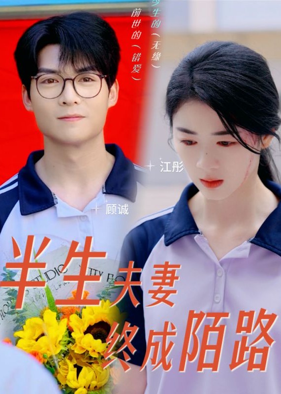 半生夫妻终成陌路海报