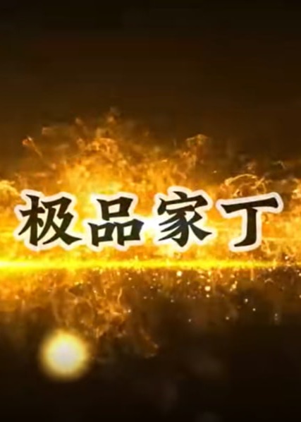 大梁首席家丁海报