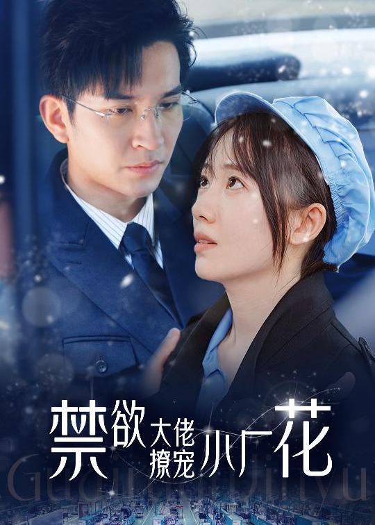 禁欲大佬撩宠小厂花海报