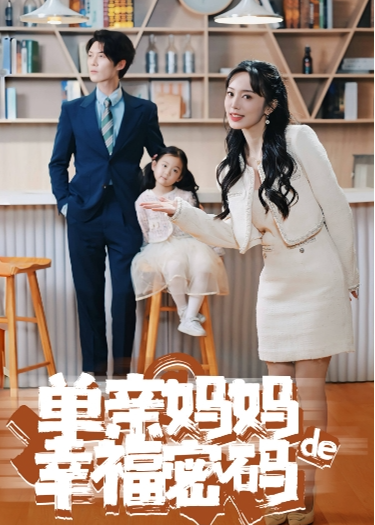 单亲妈妈的幸福密码海报