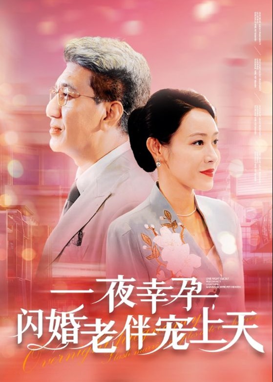 一夜幸孕闪婚老伴宠上天海报