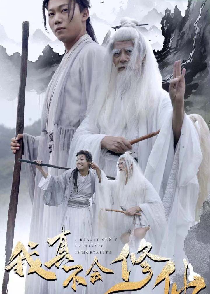 我真不会修仙海报