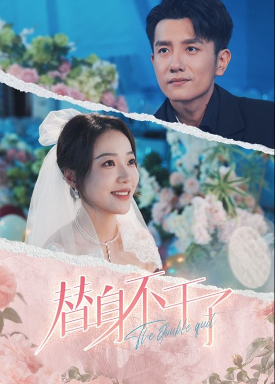 替身不干了海报